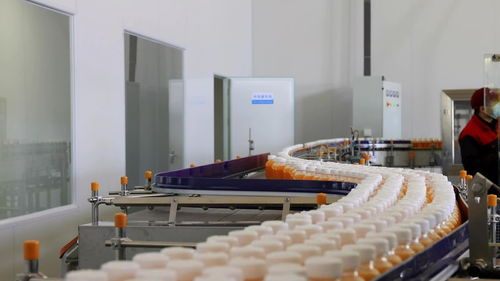 千企競“質(zhì)”，向“新”而行 小沙棘如何為鄉(xiāng)村振興注入強(qiáng)勁動能