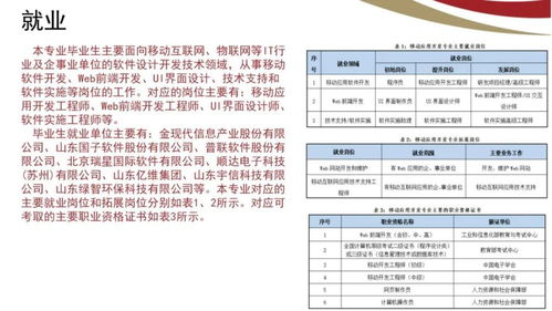 山東電子職業(yè)技術學院計算機與軟件工程系 計算機軟件技術服務專業(yè)簡介